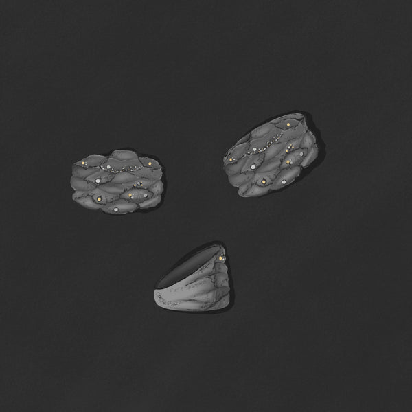 Fig.10