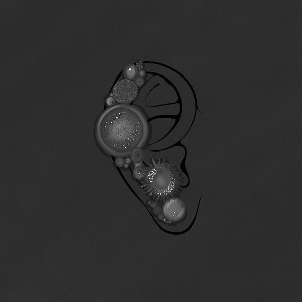 Fig.7